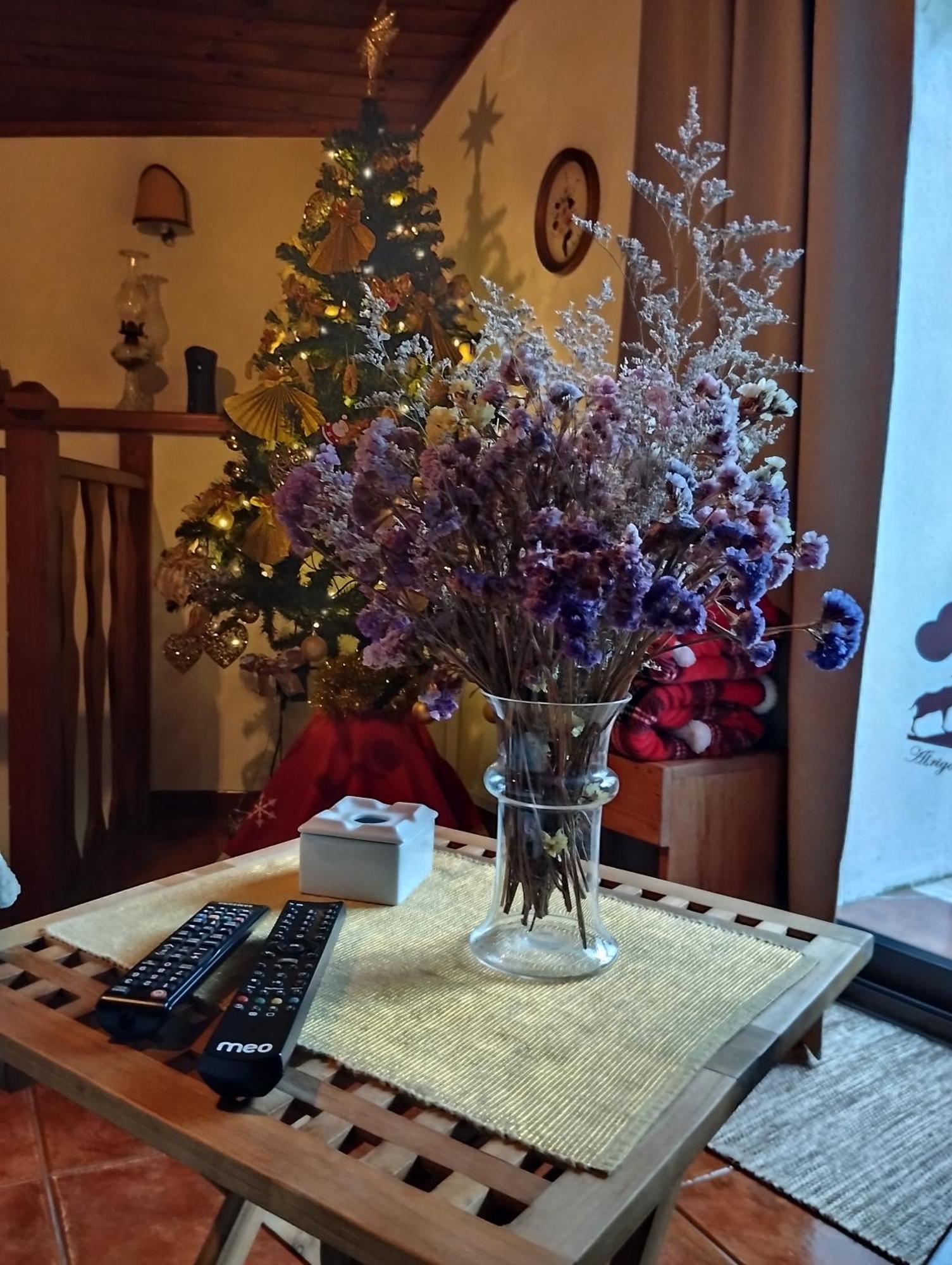 Abrigo Do Cabecinho - Serra Da Estrela Cortes do Meio Luaran gambar